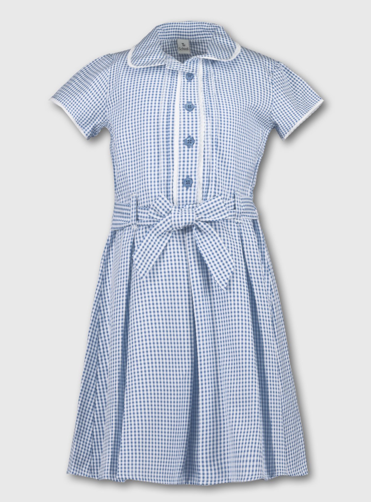 Buy Blue Classic Gingham School Dress ...